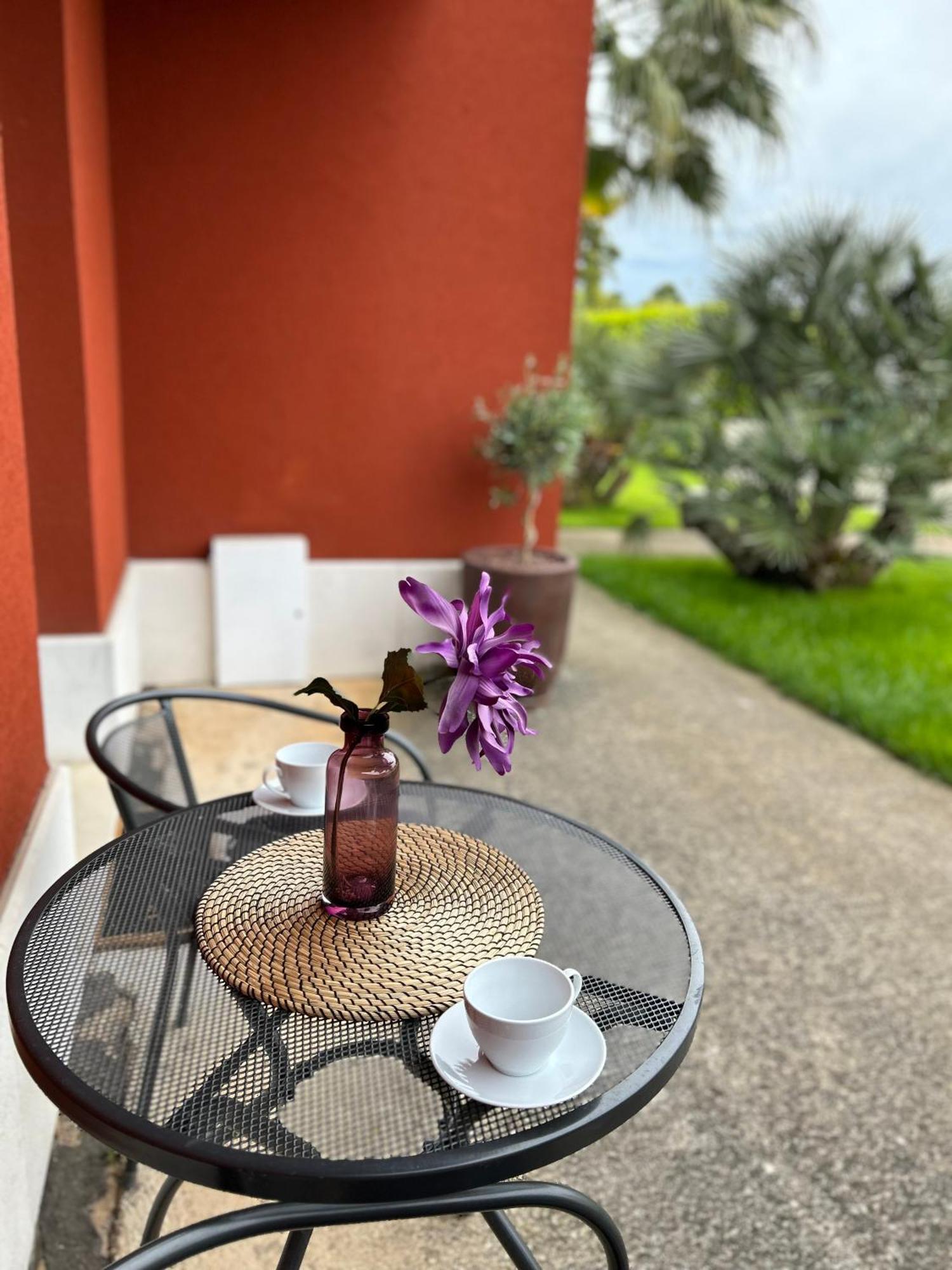 Ivni Apartmani Novigrad  Luaran gambar
